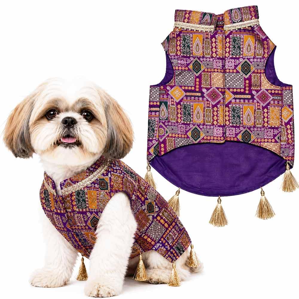 6 Jamuni Jalwa festive dog sherwani - Image 1